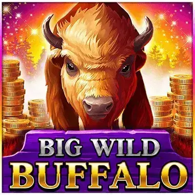 Play Big Wild Buffalo Jet4Bet casino